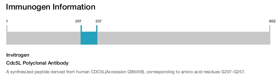 Cdc5L Polyclonal Antibody