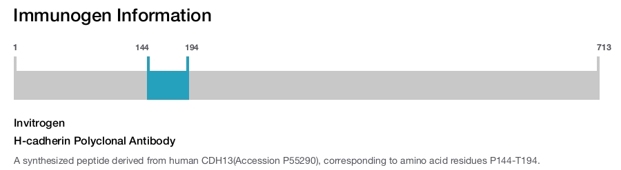 H-cadherin Polyclonal Antibody