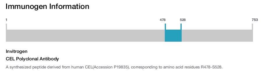 CEL Polyclonal Antibody