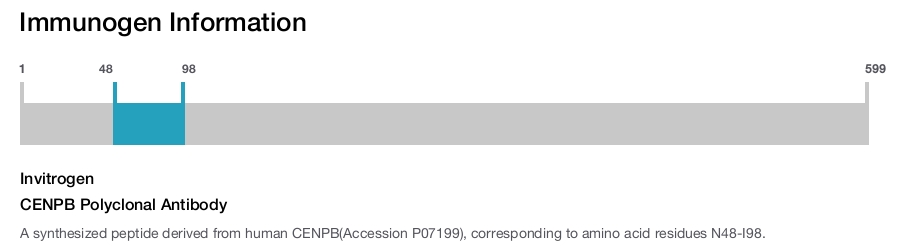 CENPB Polyclonal Antibody