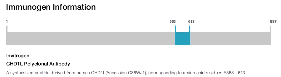 CHD1L Polyclonal Antibody