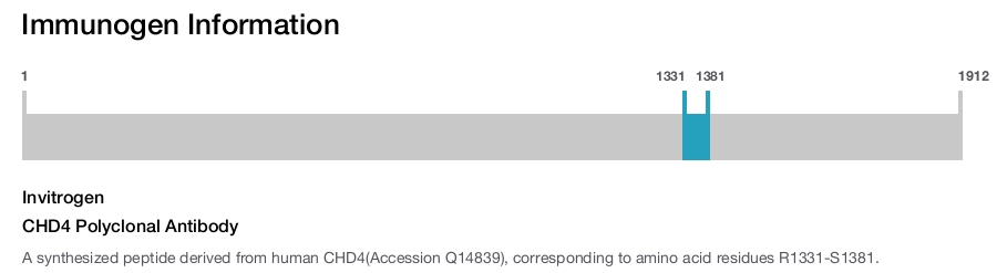 CHD4 Polyclonal Antibody