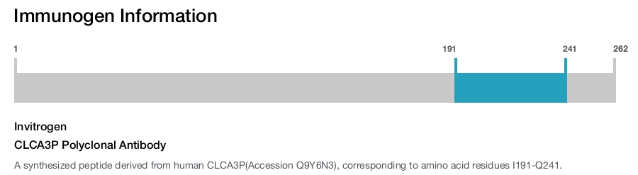 CLCA3P Polyclonal Antibody