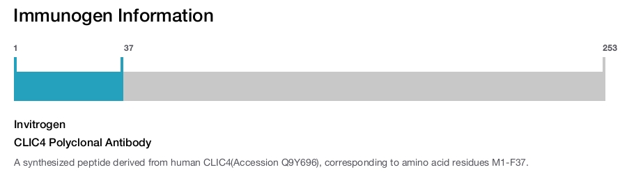 CLIC4 Polyclonal Antibody