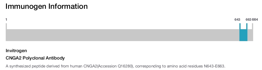 CNGA2 Polyclonal Antibody
