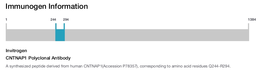 CNTNAP1 Polyclonal Antibody