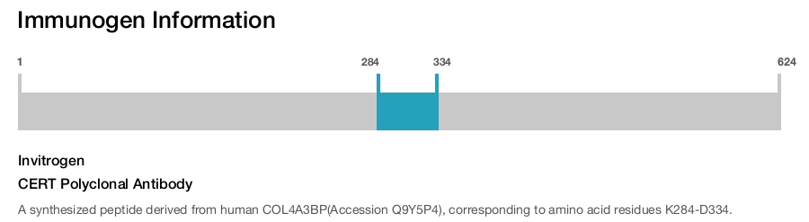CERT Polyclonal Antibody