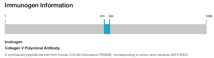 Collagen V Polyclonal Antibody