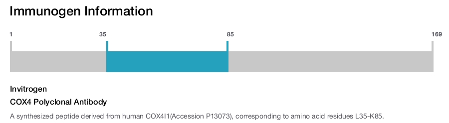 COX4 Polyclonal Antibody