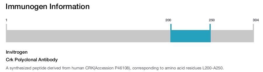 Crk Polyclonal Antibody