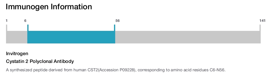 Cystatin 2 Polyclonal Antibody
