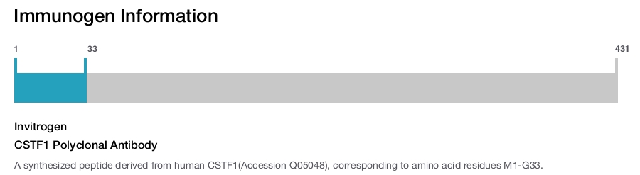 CSTF1 Polyclonal Antibody