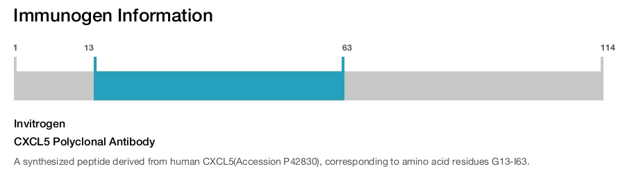 CXCL5 Polyclonal Antibody