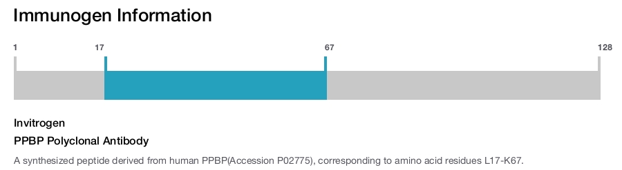 PPBP Polyclonal Antibody