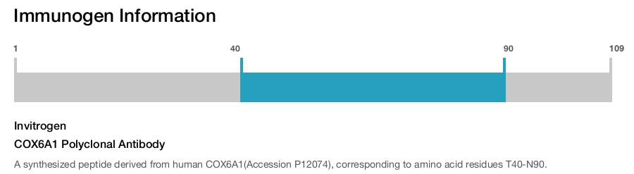 COX6A1 Polyclonal Antibody