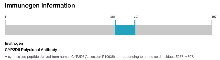 CYP2D6 Polyclonal Antibody