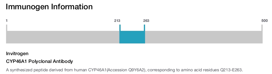 CYP46A1 Polyclonal Antibody