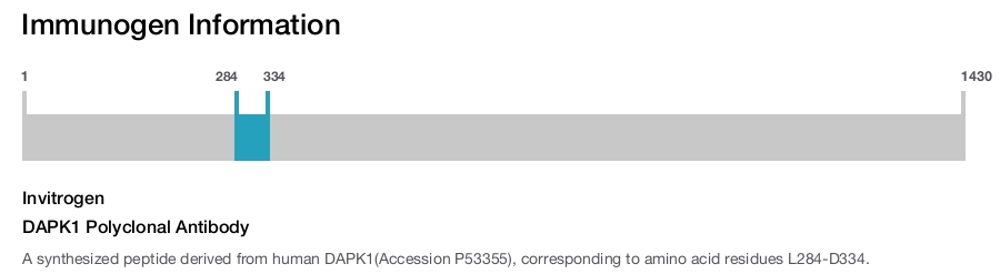 DAPK1 Polyclonal Antibody