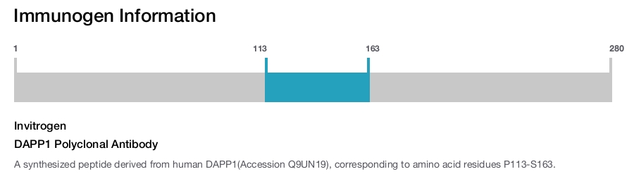 DAPP1 Polyclonal Antibody