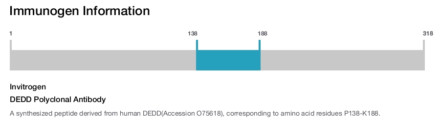 DEDD Polyclonal Antibody