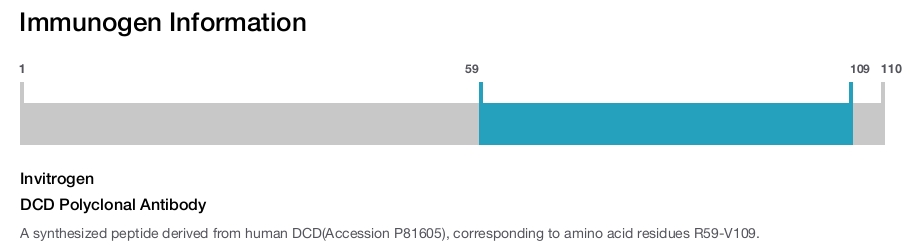 DCD Polyclonal Antibody