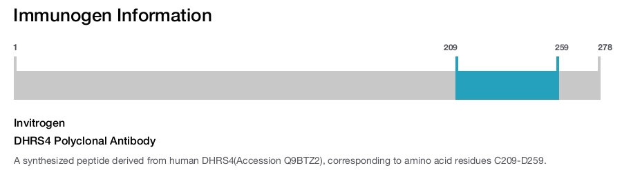 DHRS4 Polyclonal Antibody
