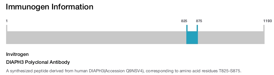 DIAPH3 Polyclonal Antibody