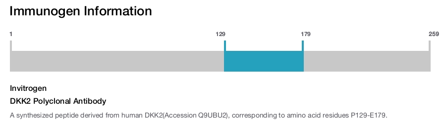 DKK2 Polyclonal Antibody