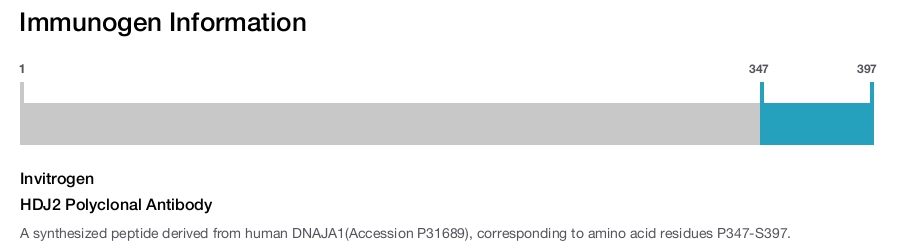 HDJ2 Polyclonal Antibody