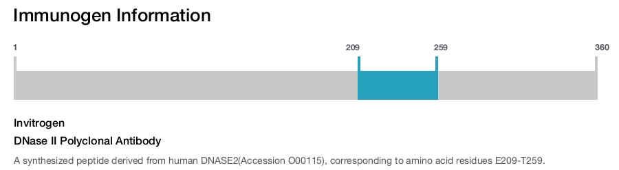 DNase II Polyclonal Antibody