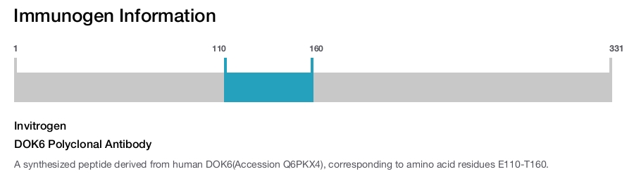 DOK6 Polyclonal Antibody