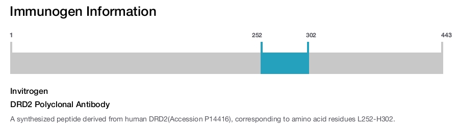 DRD2 Polyclonal Antibody