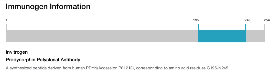 Prodynorphin Polyclonal Antibody