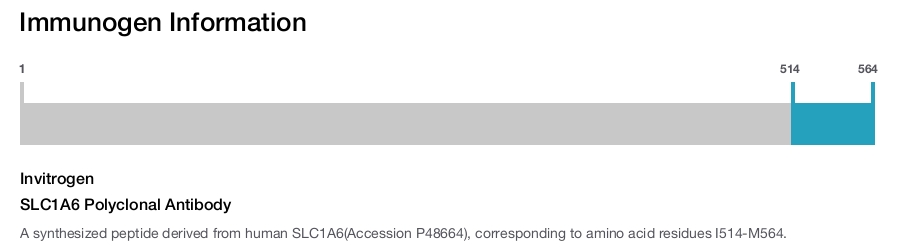 SLC1A6 Polyclonal Antibody