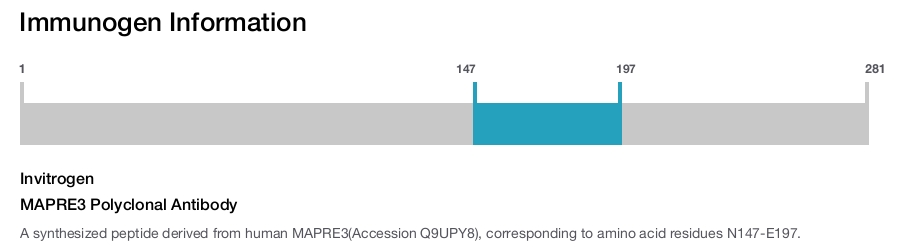 MAPRE3 Polyclonal Antibody