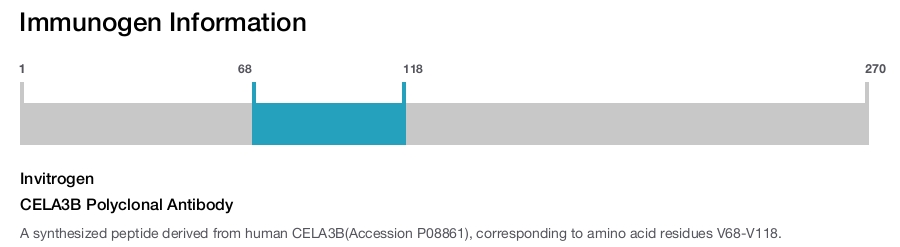 CELA3B Polyclonal Antibody