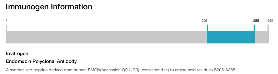 Endomucin Polyclonal Antibody
