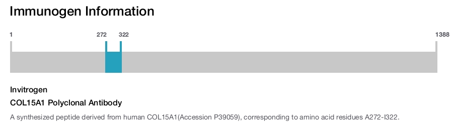 COL15A1 Polyclonal Antibody