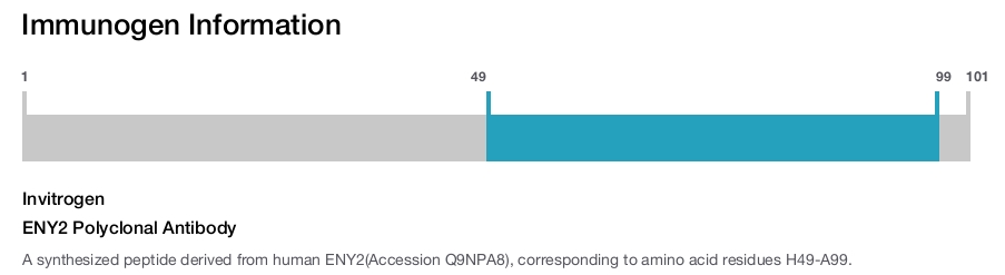 ENY2 Polyclonal Antibody