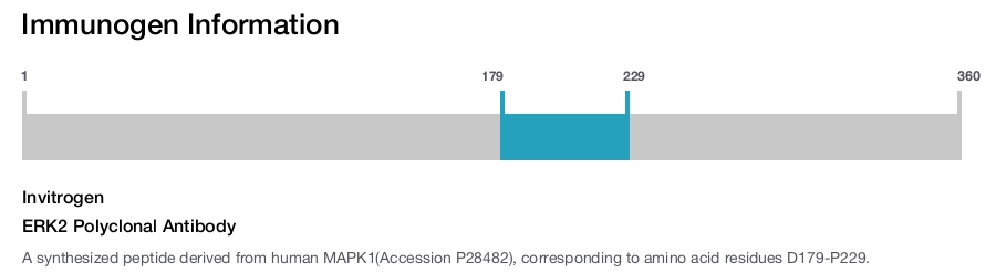 ERK2 Polyclonal Antibody