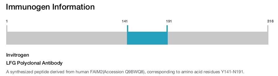 LFG Polyclonal Antibody