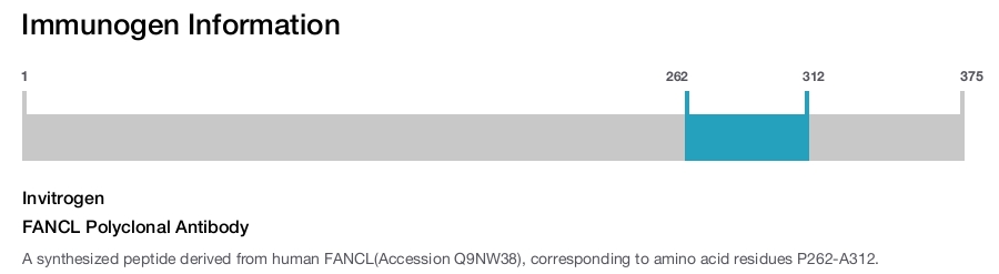 FANCL Polyclonal Antibody