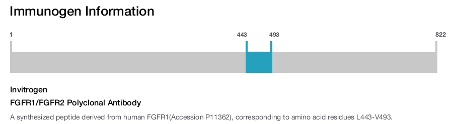 FGFR1/FGFR2 Polyclonal Antibody