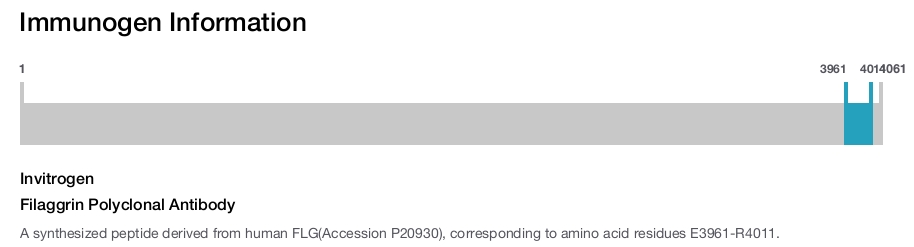 Filaggrin Polyclonal Antibody
