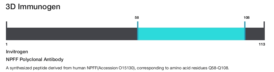 NPFF Polyclonal Antibody