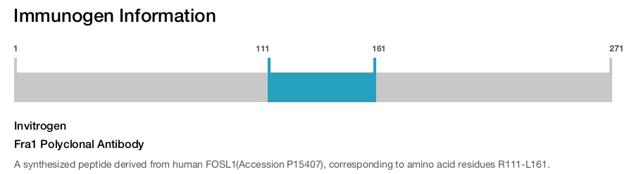 Fra1 Polyclonal Antibody