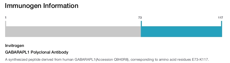 GABARAPL1 Polyclonal Antibody