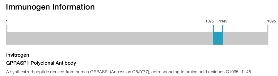 GPRASP1 Polyclonal Antibody