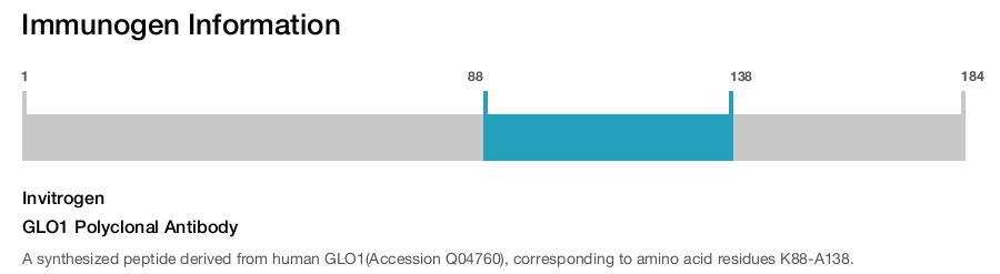 GLO1 Polyclonal Antibody