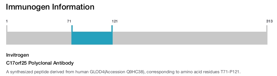 C17orf25 Polyclonal Antibody